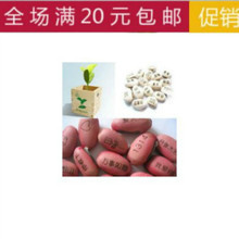 【魔法豆种子】最新最全魔法豆种子返利优惠_一淘网