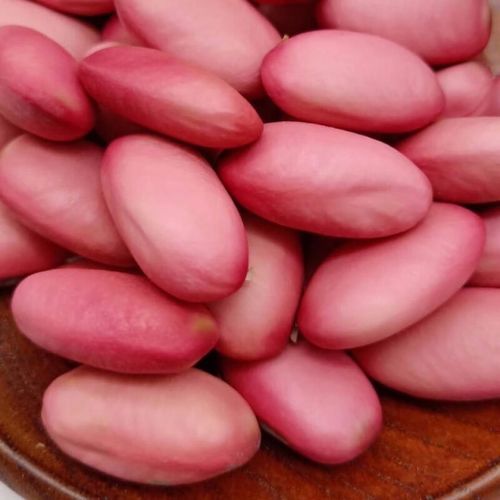 中药材刀豆籽魔豆葛豆红刀豆种子板豆100g500g干货 250克