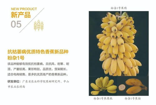 组图丨31项农业农村重大新技术新产品新装备发布
