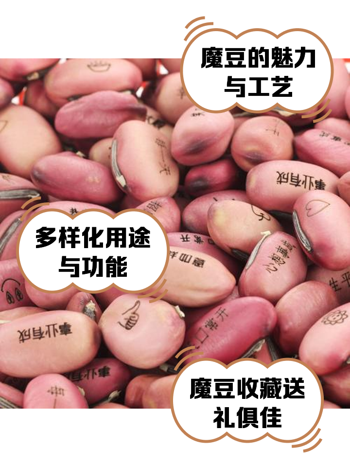 魔豆