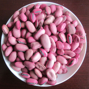 【工艺豆子】工艺豆子价格/图片_工艺豆子批发/采购_工艺豆子厂家/供应商