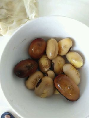 魔豆种植