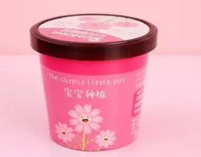 种魔豆 diy月饼,收获秋天的成就感